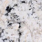 White Delicatus 2