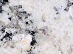 White Delicatus
