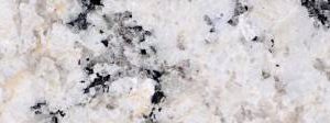White Delicatus