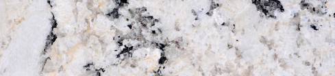 White Delicatus