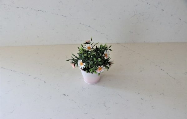 Quartz COANTE Dreamy