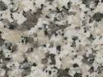 Grey Sardo (Italy)