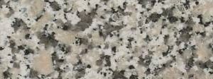 Grey Sardo (Italy)