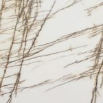 Bianco Fossil 2