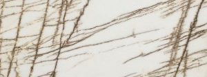 Bianco Fossil