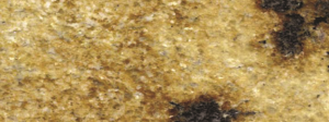 Lapidus Classico