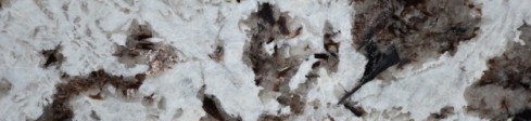 Splendour White