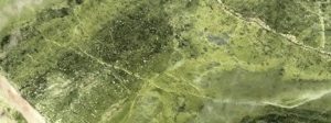 Irish Green