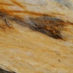 Golden Flame Quartzite 2