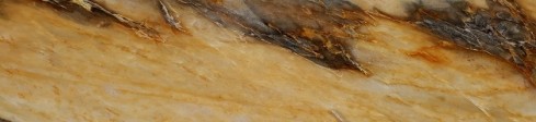 Golden Flame Quartzite