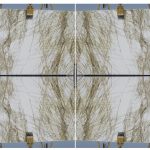 Bianco Fossil 3