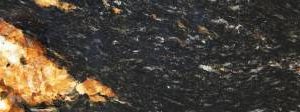 Black Taurus