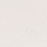 Quartz COANTE Calacatta Miranda 2