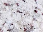 Ornamental White 1