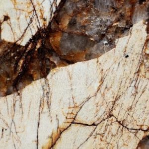 Alpinus Gold