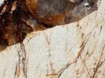 Alpinus Gold