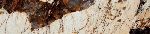 Alpinus Gold