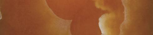 Onyx Orange