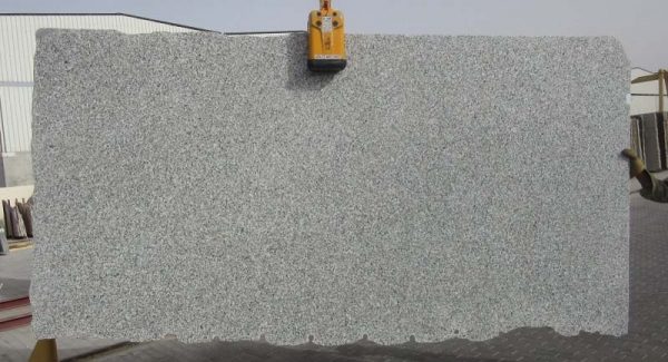 Grey Sardo (Italy)