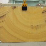 Onyx Yellow Arco Iris 4