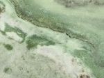 Verde Tiffone