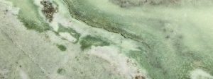 Verde Tiffone
