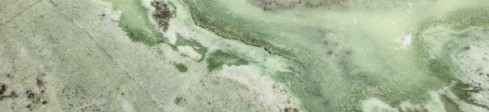 Verde Tiffone