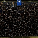 Precious Stone AGATE Black Diamond with Gold 5