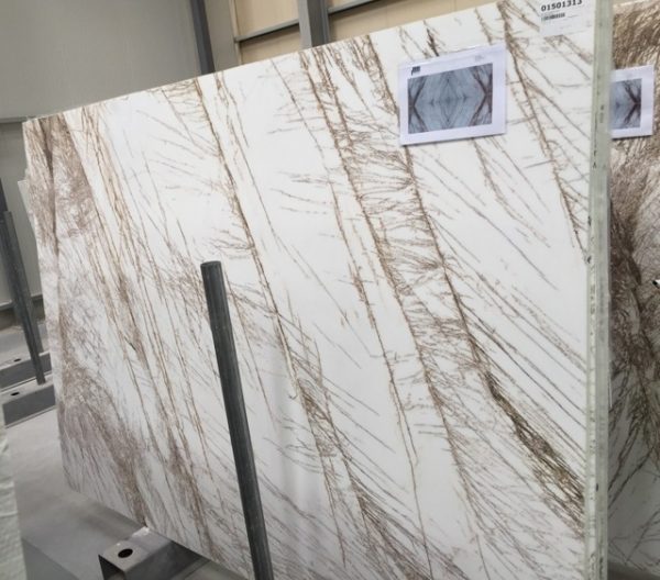 Bianco Fossil