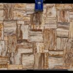 Precious Stone PETRIFIED WOOD Cremo Retro 3