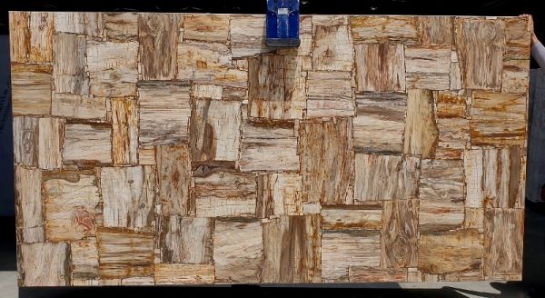 Precious Stone PETRIFIED WOOD Cremo Retro