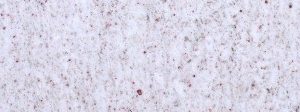 Dazzle White