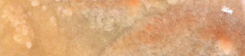 Onyx Miele (Honey)