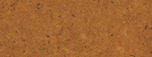 INDUS GOLD