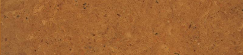 INDUS GOLD