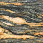 Blue Fusion Exotic 4