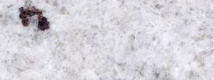 Colonial White