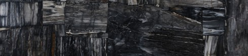Precious Stone PETRIFIED WOOD Black & White Retro
