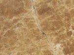 Light Emprador Turkey (T1)
