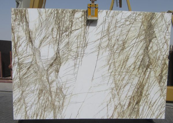 Bianco Fossil