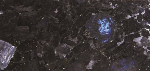 Volga Blue