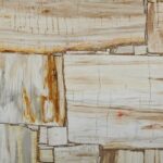 Precious Stone PETRIFIED WOOD Cremo Retro 4