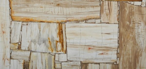 Precious Stone PETRIFIED WOOD Cremo Retro