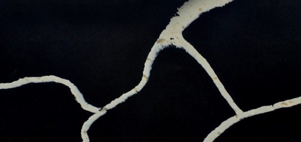 Quartz KOZO Calacatta Nero