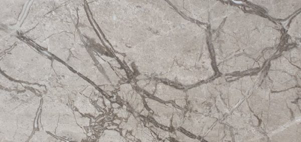 Tundra Grey Venato