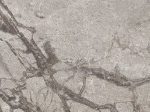 Tundra Grey Venato 1