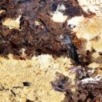 Oro Scintillante 4