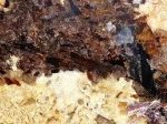 Oro Scintillante
