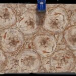 Precious Stone PETRIFIED WOOD Cremo Circular 5